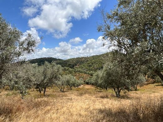 Finca en Grândola, Setúbal