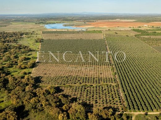 Finca en Souzel, Sousel
