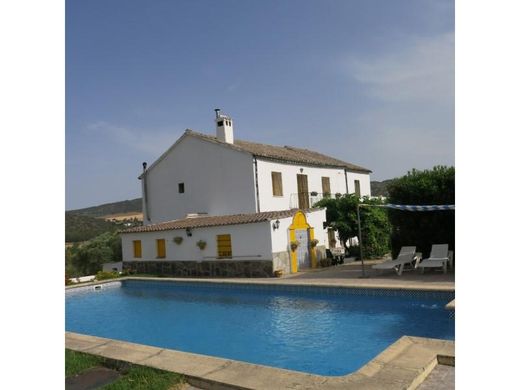 ‏בתים כפריים או חוות ב  Ronda, Provincia de Málaga
