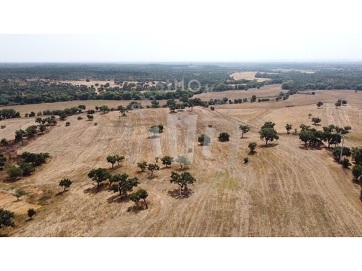 ﻣﺰﺭﻋﺔ ﻓﻲ Santiago do Cacém, Distrito de Setúbal