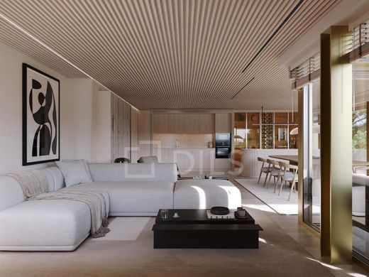 Daire Porto, Distrito do Porto