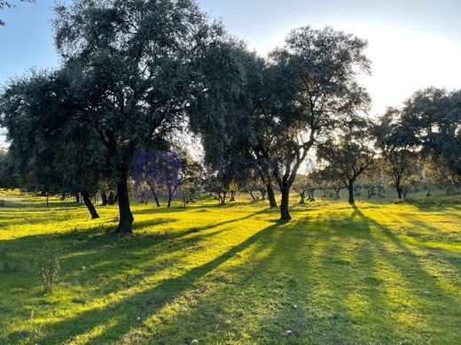 Landhaus / Bauernhof in Monroy, Cáceres