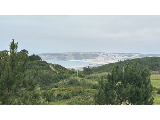 Land in Nazaré, Distrito de Leiria
