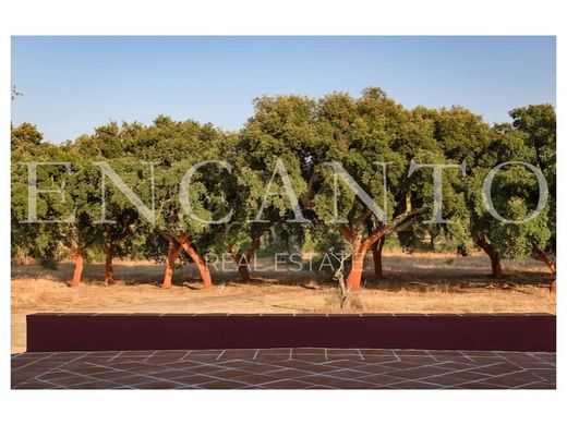 Luxury home in Evora, Évora