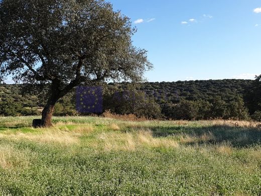 Luxe woning in Don Benito, Provincia de Badajoz