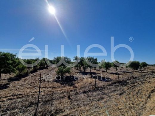 Farma w Ourique, Distrito de Beja