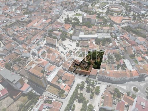 Terrain à Cartaxo, Distrito de Santarém