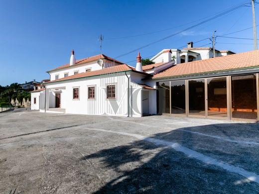 Lüks ev Águeda, Distrito de Aveiro