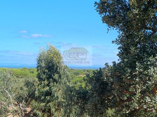 Terreno a Grândola, Distrito de Setúbal