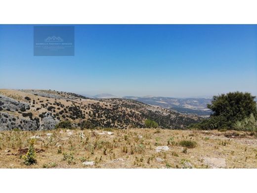 Terrain à Ronda, Malaga