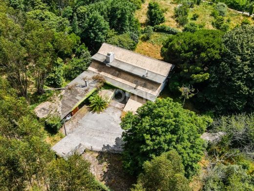 Πολυτελή κατοικία σε Figueiró dos Vinhos, Figueiró Dos Vinhos