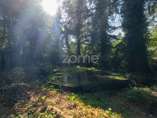 Rezydencja w Castro Daire, Distrito de Viseu