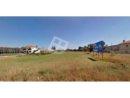 Teren w Aveiro, Distrito de Aveiro