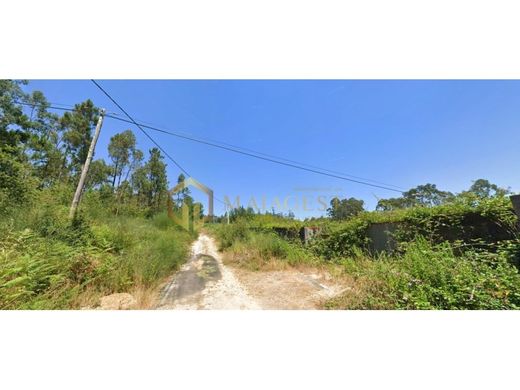 Teren w Santa Maria da Feira, Distrito de Aveiro