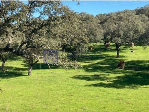 Luxe woning in Aliseda, Provincia de Cáceres