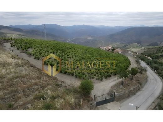 Πολυτελή κατοικία σε São João da Pesqueira, Distrito de Viseu