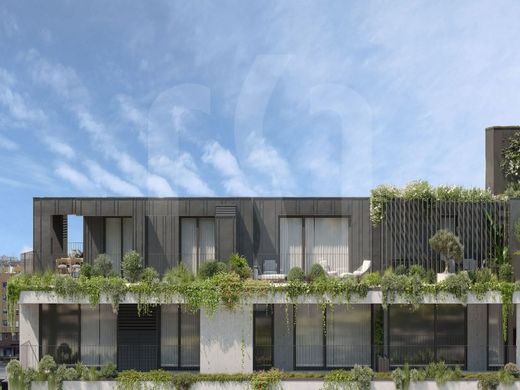 Daire Porto, Distrito do Porto