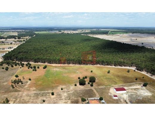 Αγροτεμάχιο σε Palmela, Distrito de Setúbal