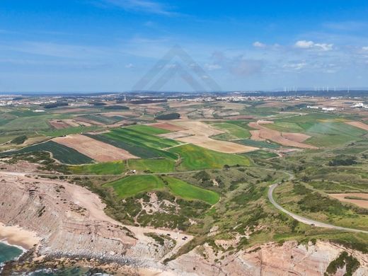 Land in Lourinhã, Lisbon