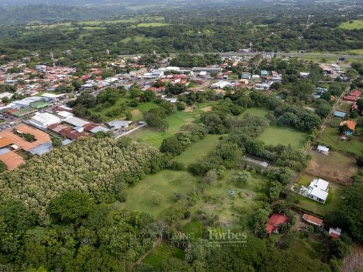 Arsa Alajuela, Provincia de Alajuela