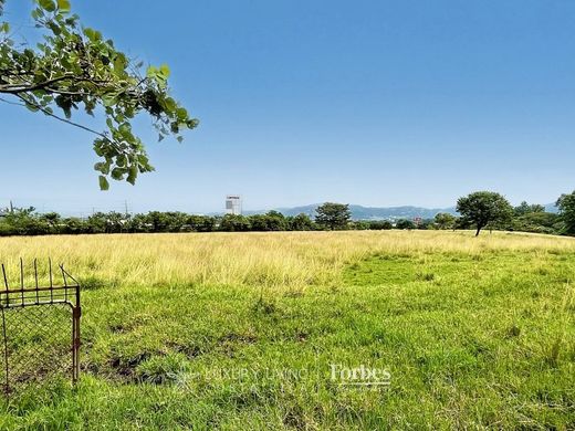 토지 / Santa Ana, Provincia de San José