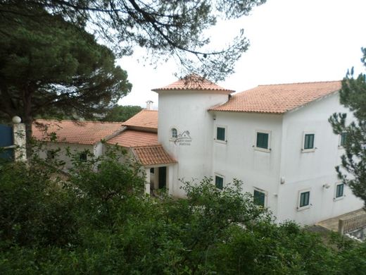 Поместье, Alcobaça, Distrito de Leiria