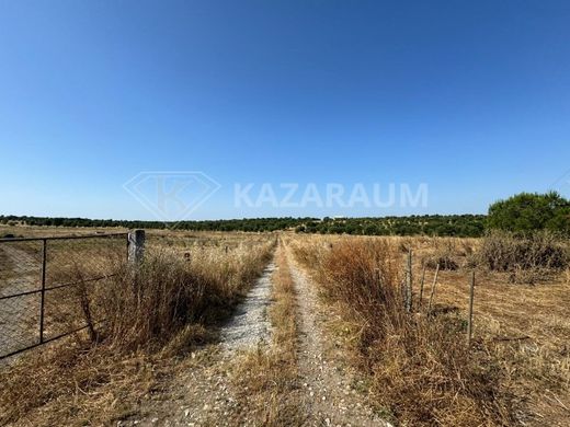 Φάρμα σε Ourique, Distrito de Beja