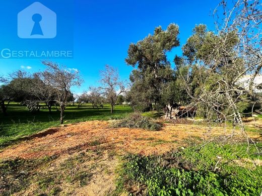 Αγροτεμάχιο σε Albufeira, Distrito de Faro