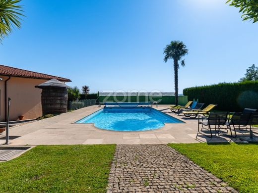 호화 저택 / Paços de Ferreira, Distrito do Porto