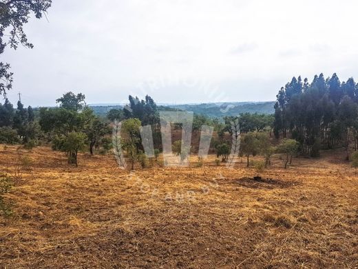 Luxury home in Santiago do Cacém, Distrito de Setúbal