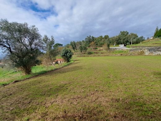 토지 / Valença, Distrito de Viana do Castelo