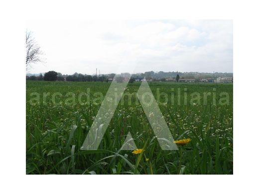 Land in Anadia, Aveiro