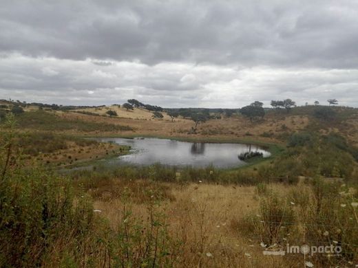 Farma w Almodôvar, Distrito de Beja