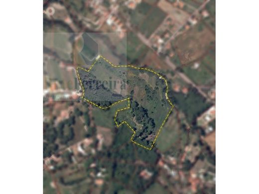 Land in Sintra, Lisbon