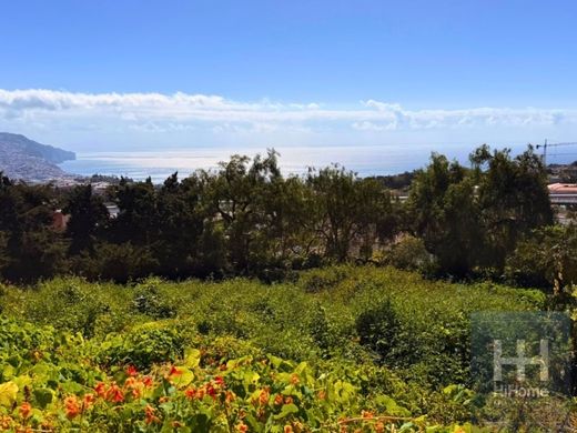 Arsa Funchal, Madeira