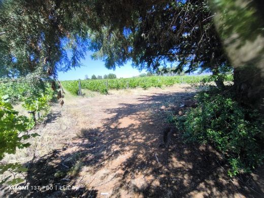 Farma w Fundão, Distrito de Castelo Branco