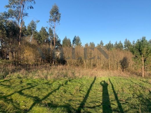 Terrain à Trofa, Distrito do Porto