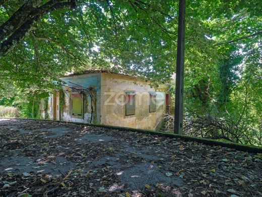 Luxus-Haus in Figueiró dos Vinhos, Figueiró Dos Vinhos