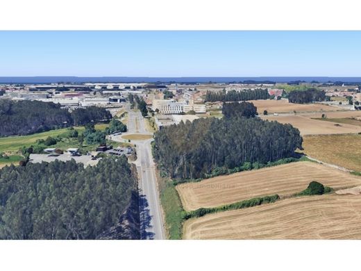 Teren w Maia, Distrito do Porto