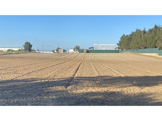 ‏קרקע ב  Palmela, Distrito de Setúbal