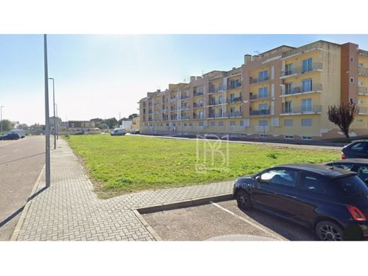 Terreno - Cartaxo, Santarém