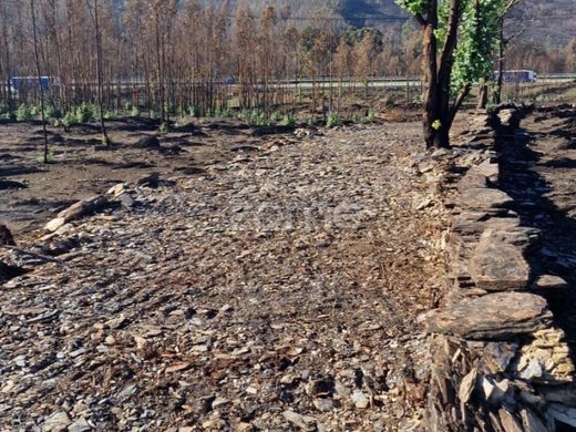 Terrain à Paredes, Distrito do Porto