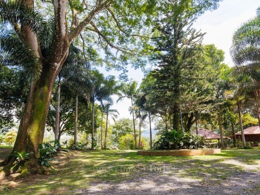 Villa - Colón, Mora