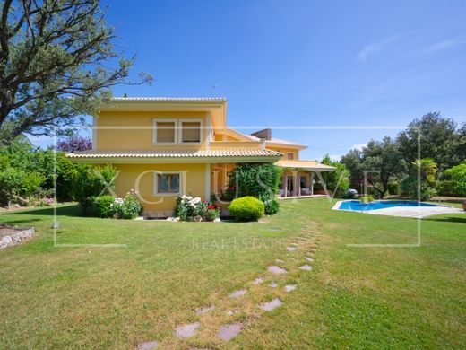 Luxe woning in Madrid, Provincia de Madrid