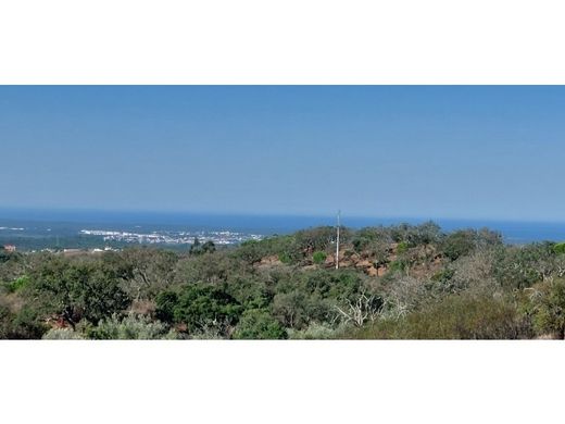 Luxury home in Santiago do Cacém, Distrito de Setúbal