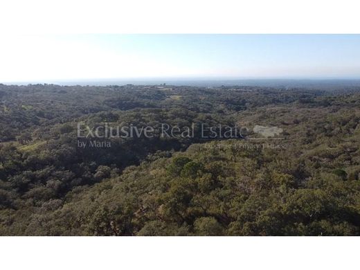 Terreno a Grândola, Distrito de Setúbal