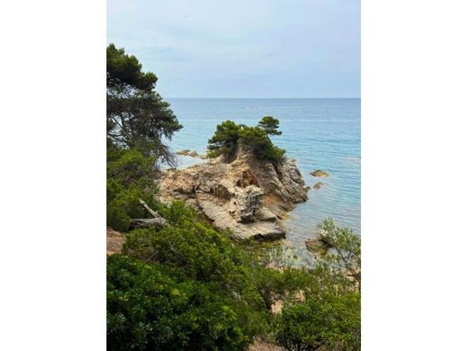 ‏בתי יוקרה ב  Lloret de Mar, Província de Girona