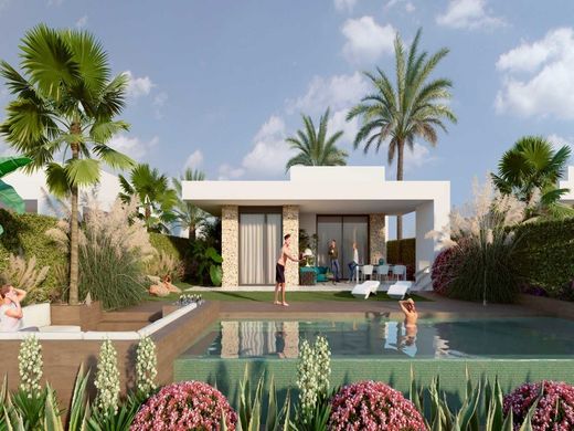 Luxury home in Algorfa, Alicante