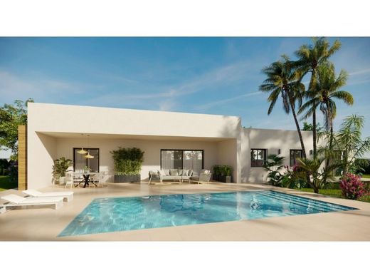 Villa in Aspe, Alicante