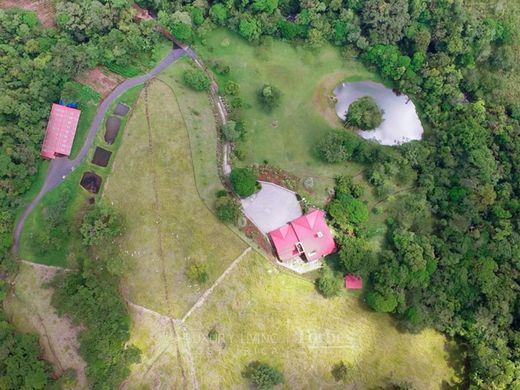 호화 저택 / San Ramón, Provincia de Alajuela